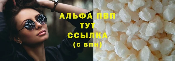 стаф Козельск