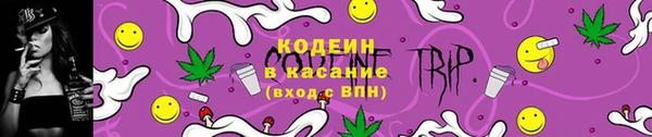 стаф Козельск